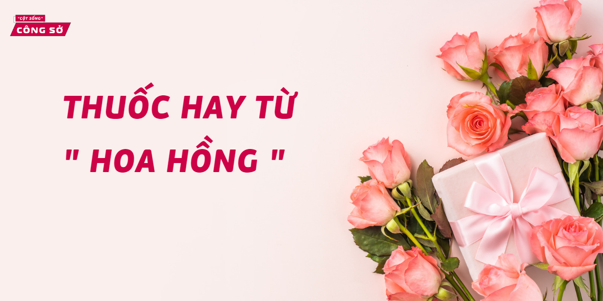 THUỐC HAY TỪ " HOA HỒNG "